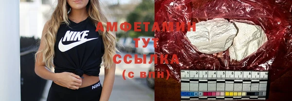 амф Алексин