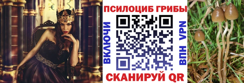 Галлюциногенные грибы Cubensis  Купить закладки  Богородск 